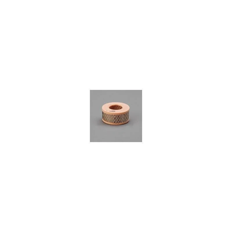 Donaldson P607324 Air Filter