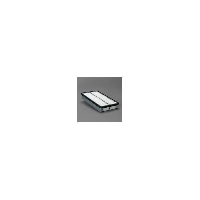 Donaldson P607332 Air Filter