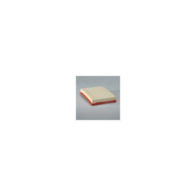 Donaldson P607348 Air Filter