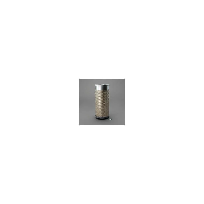 Donaldson P607350 Air Filter