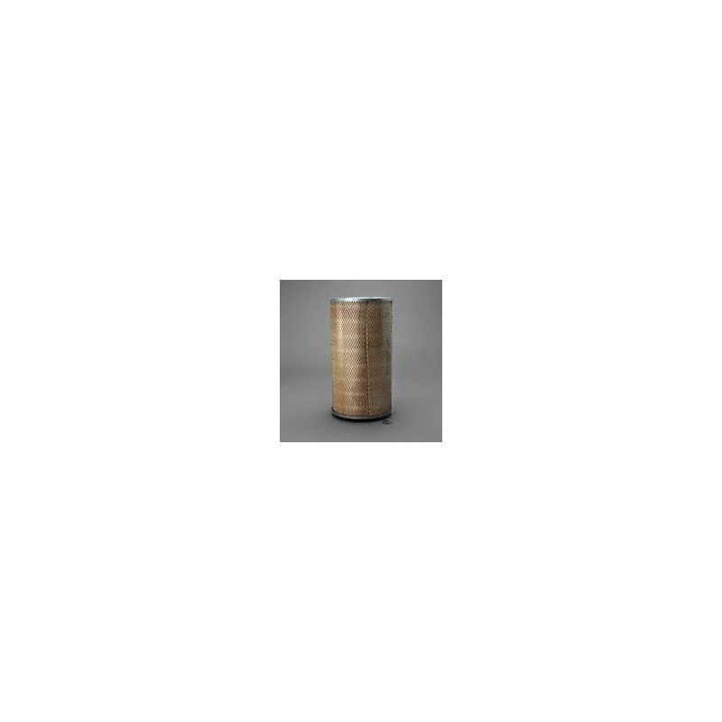 Donaldson P607365 Air Filter