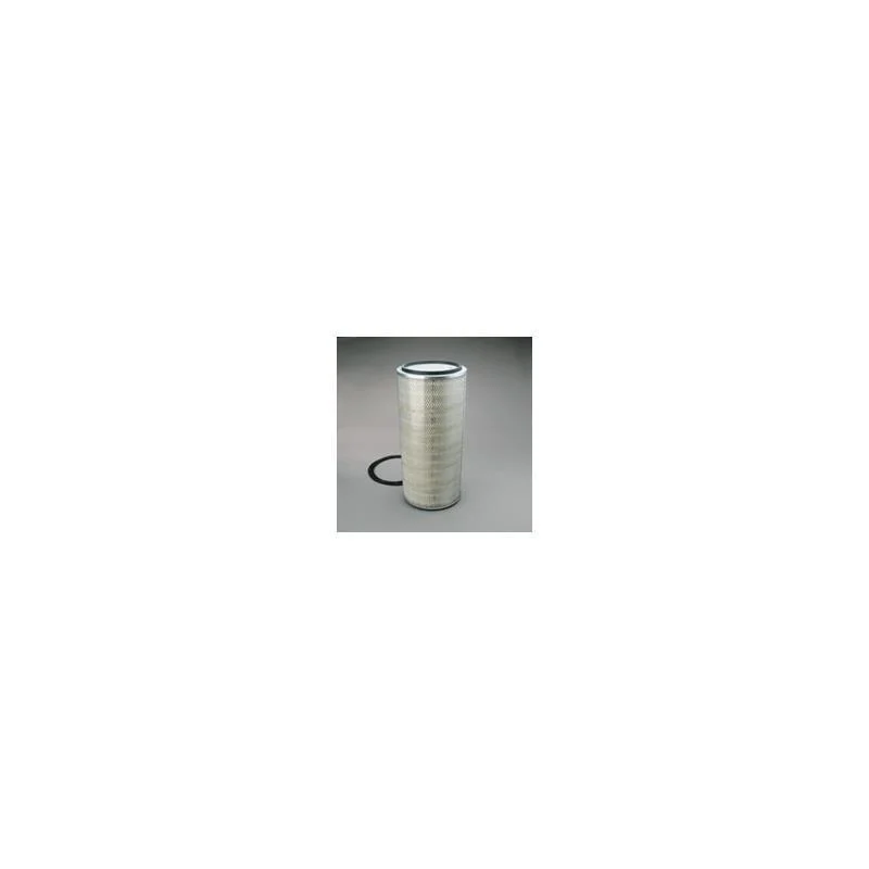 Donaldson P607371 Air Filter