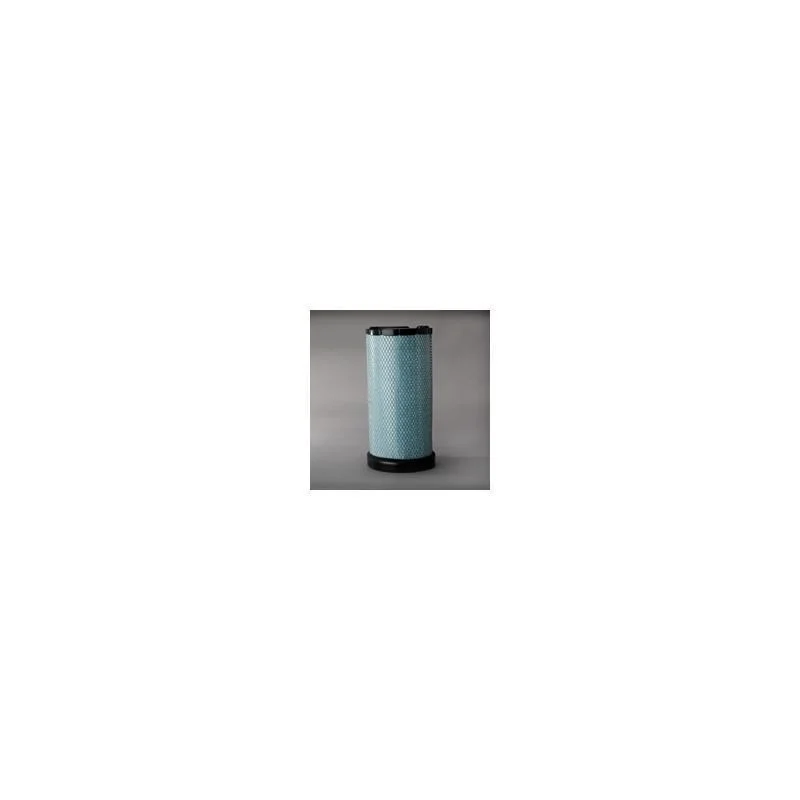 Donaldson P613926 Air Filter