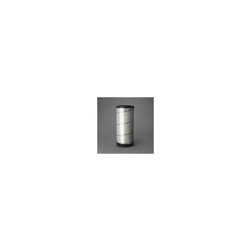 Donaldson P614563 Air Filter