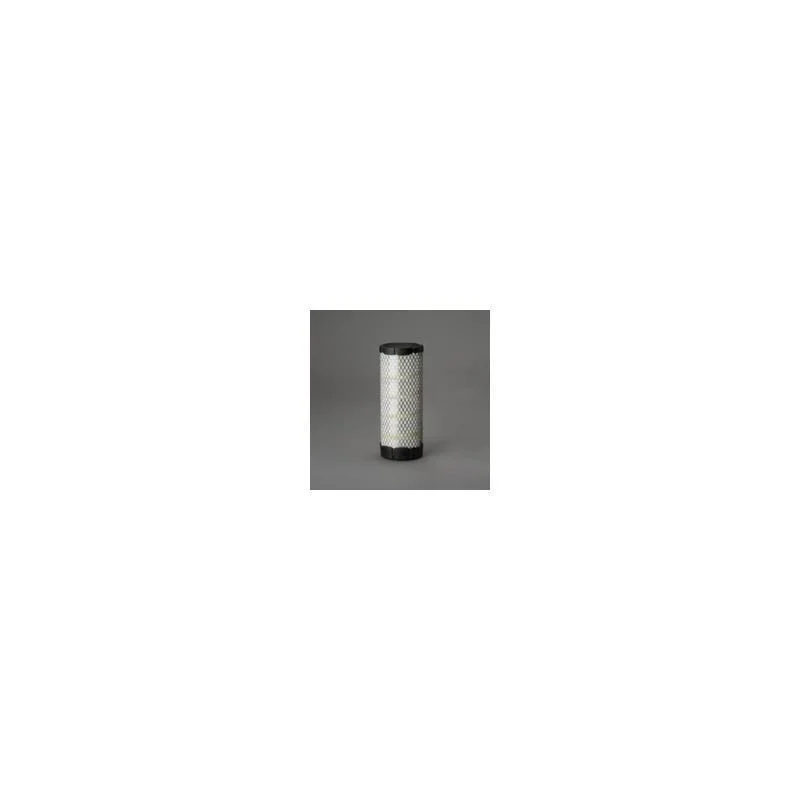 Donaldson P616641 Air Filter