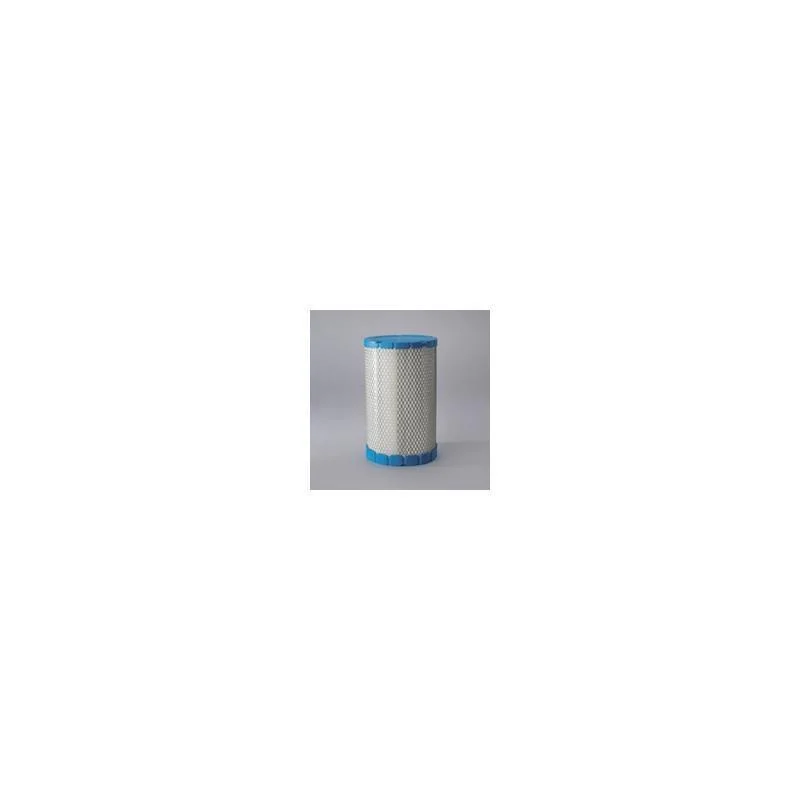 Donaldson P617645 Air Filter