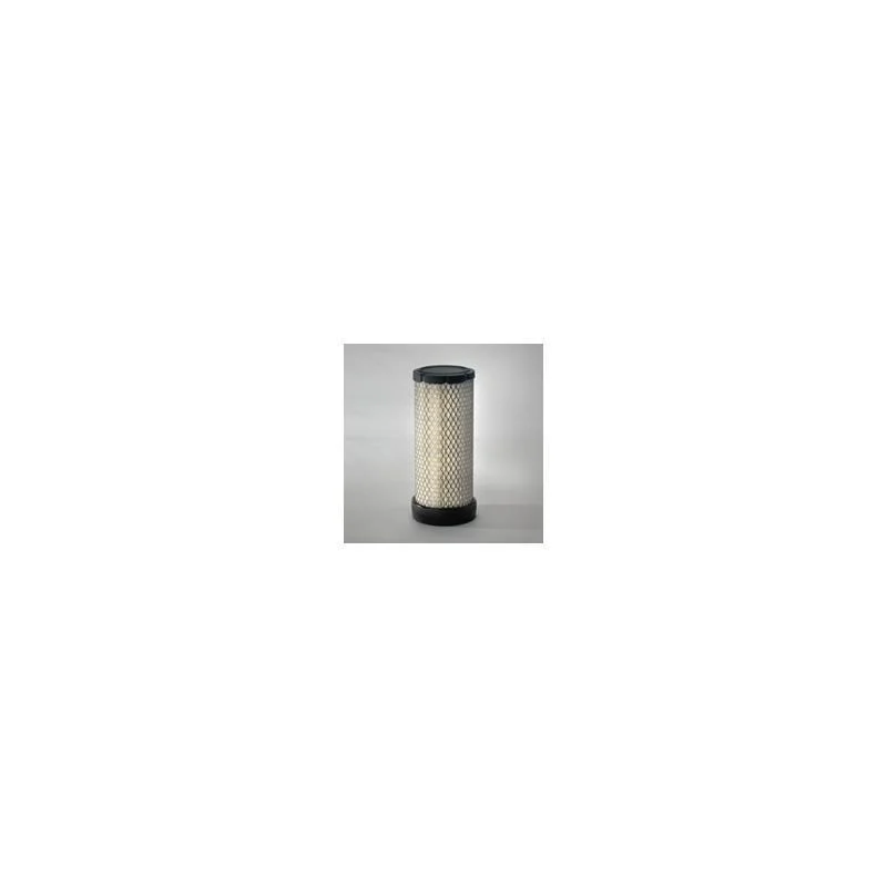 Donaldson P621642 Air Filter