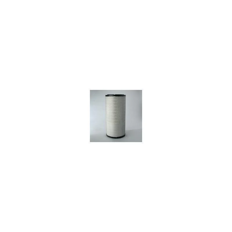 Donaldson P781199 Air Filter