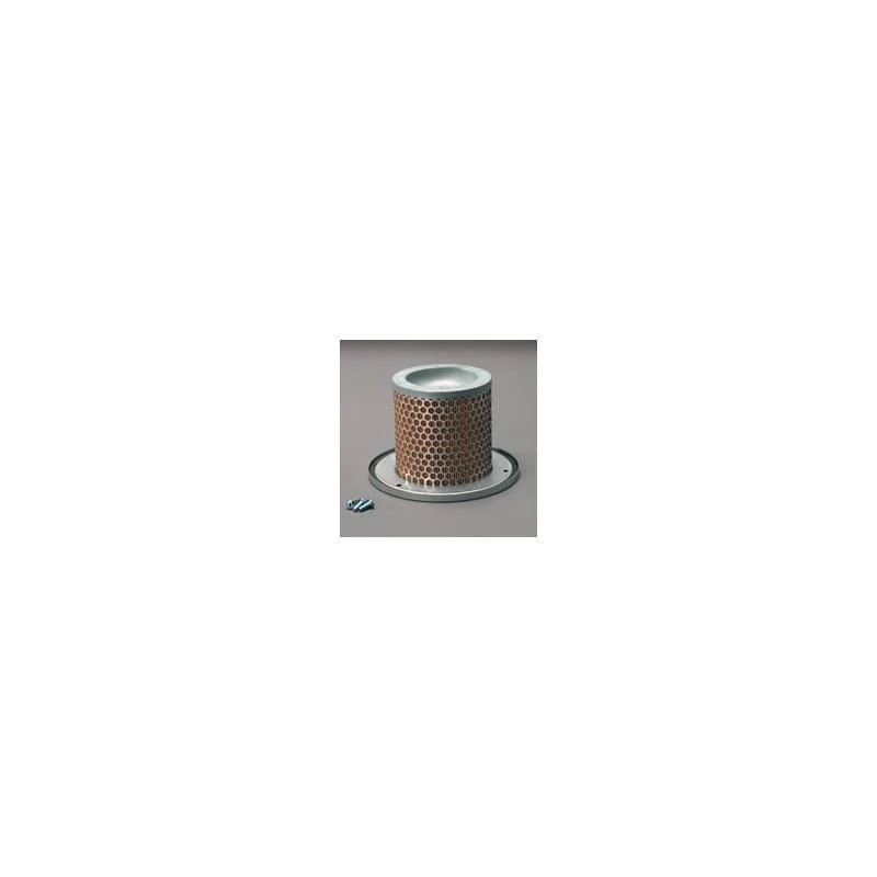 Donaldson P783501 Air Filter