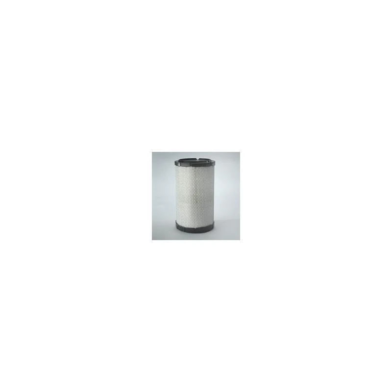 Donaldson P784609 Air Filter