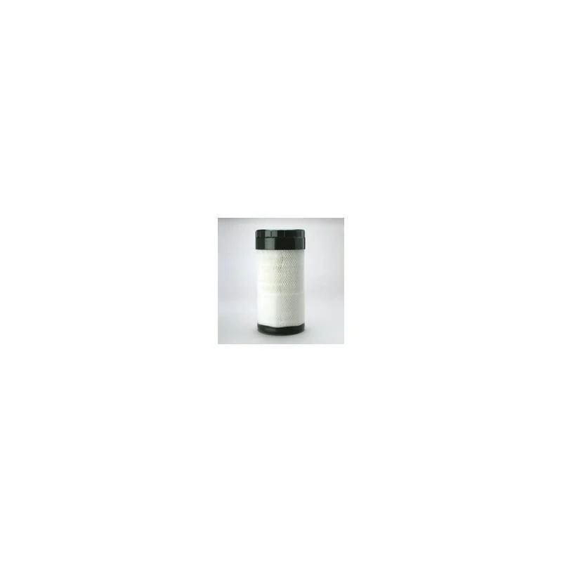 Donaldson P785589 Air Filter