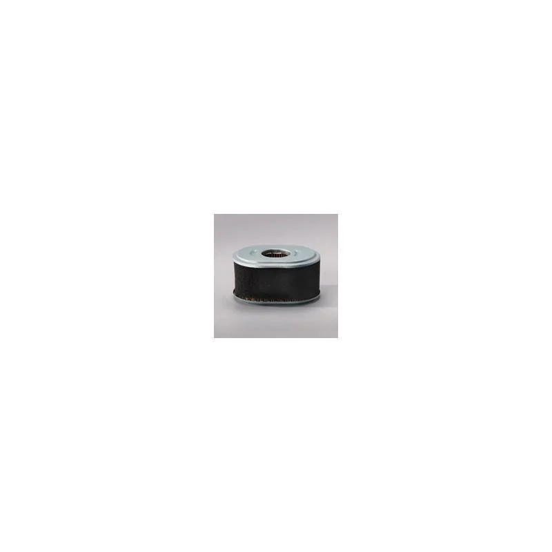 Donaldson P786789 Air Filter