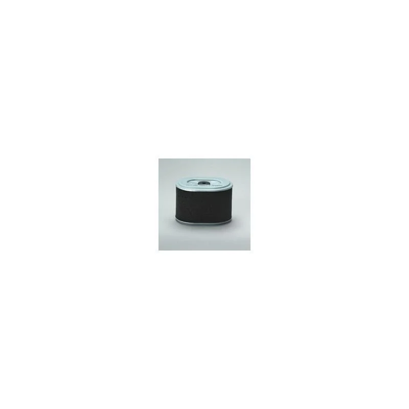 Donaldson P786889 Air Filter