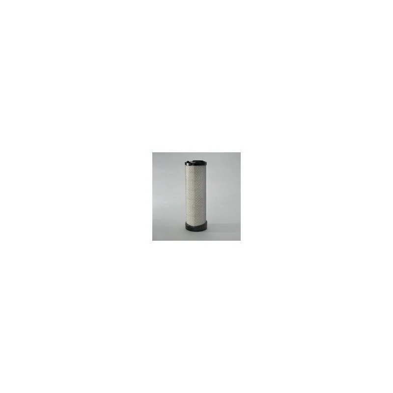 Donaldson P787154 Air Filter