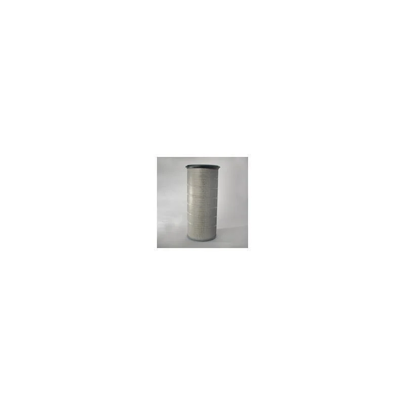Donaldson P787492 Air Filter