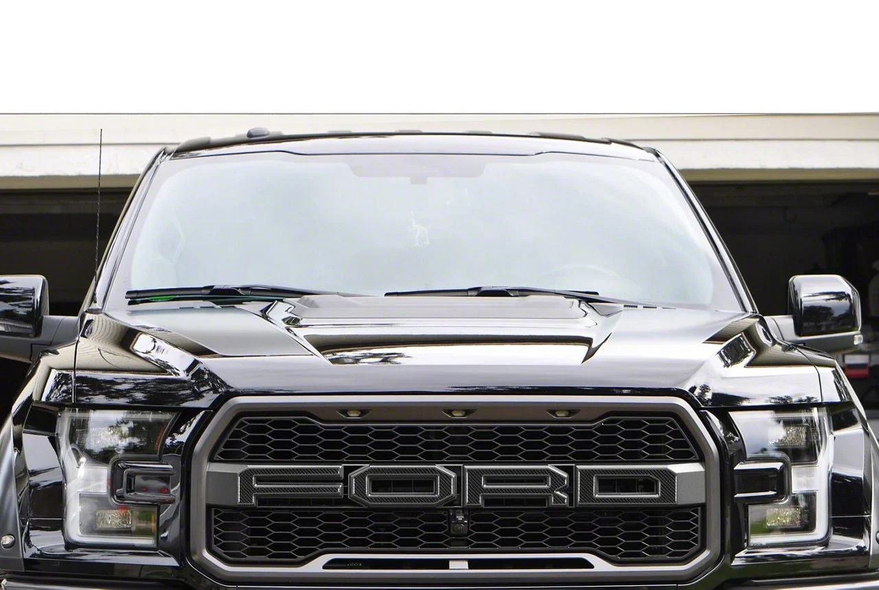 Front Grille Letter Overlays; Domed Carbon Fiber with Dark Gray Outline (17-20 F-150 Raptor)