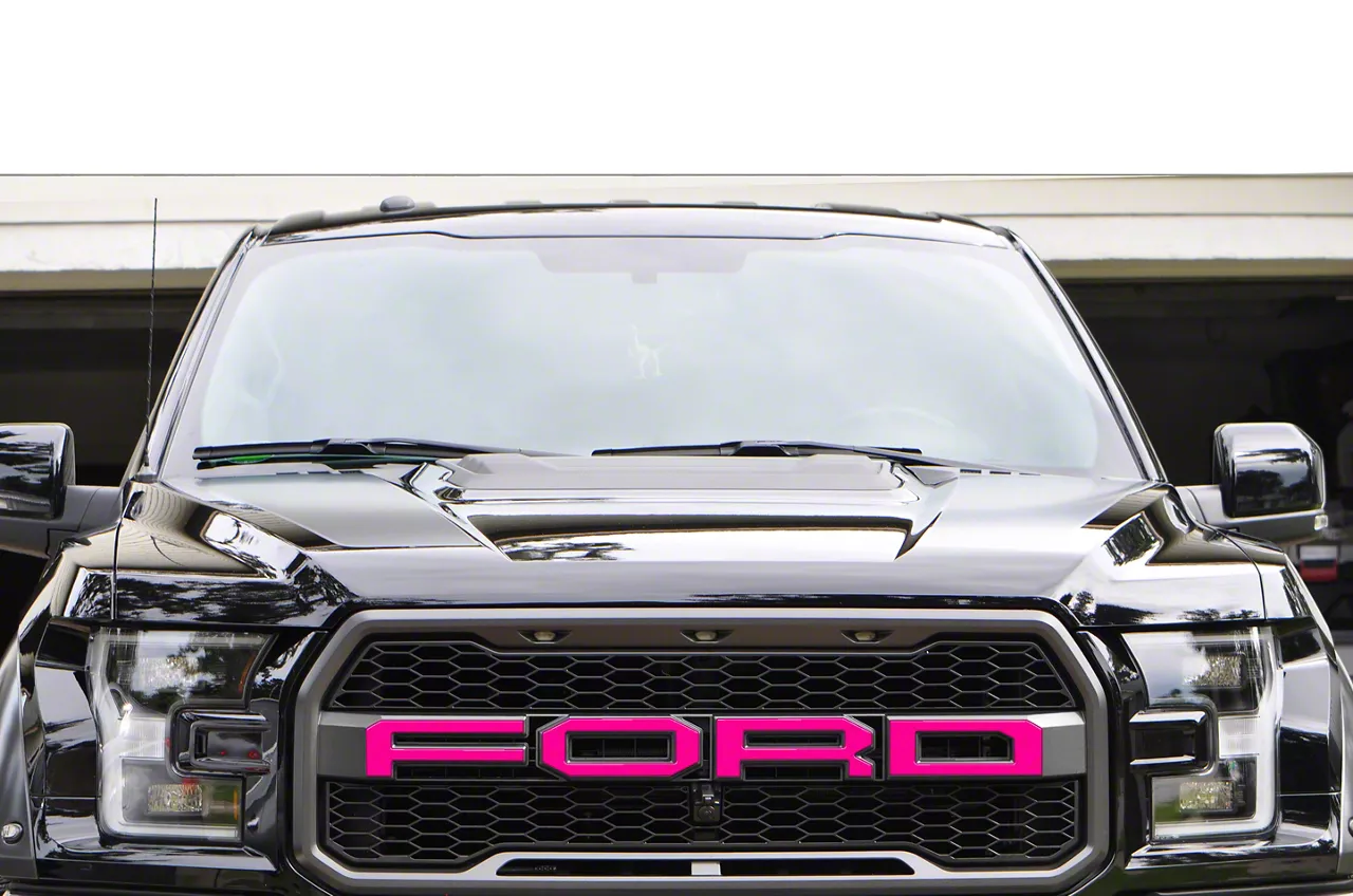 Front Grille Letter Overlays; Hot Pink (17-20 F-150 Raptor)