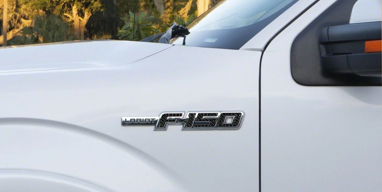 Side Emblem Insert Letters; Domed Carbon Fiber (09-14 F-150, Excluding Raptor)
