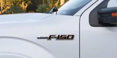 Side Emblem Insert Letters; Textured Black with Orange Outline (09-14 F-150, Excluding Raptor)