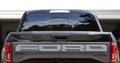 Tailgate Letter Overlays; Brushed Silver (19-20 F-150 Raptor w/ Tailgate Applique)