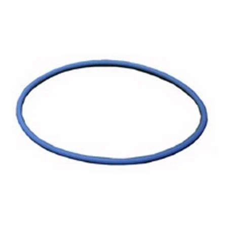 Fleetguard 3944459S Sealing Part