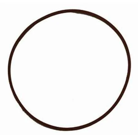 Fleetguard 3945125S Engine Seal