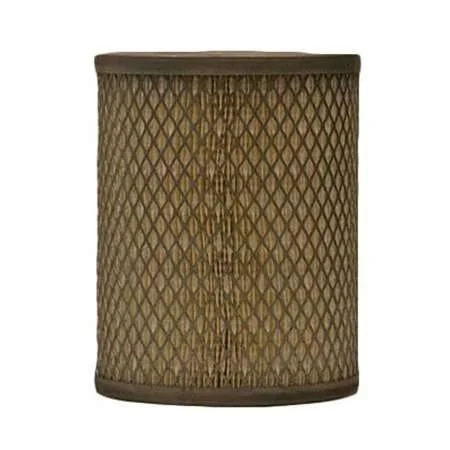 Fleetguard AF25295 Air Filter