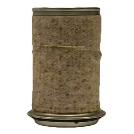 Fleetguard AF25490 Air Filter