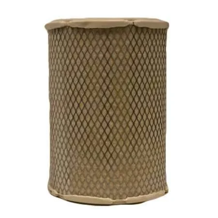 Fleetguard AF25507 Air Filter