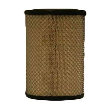 Fleetguard AF25539 Air Filter