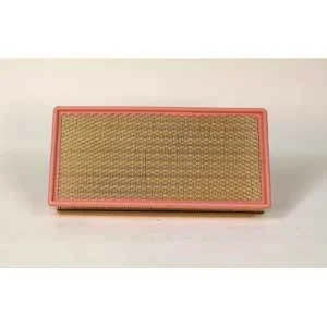 Fleetguard AF25742 Air Filter