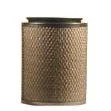 Fleetguard AF4555M Air Filter