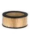 Fleetguard AF4633 Air Filter