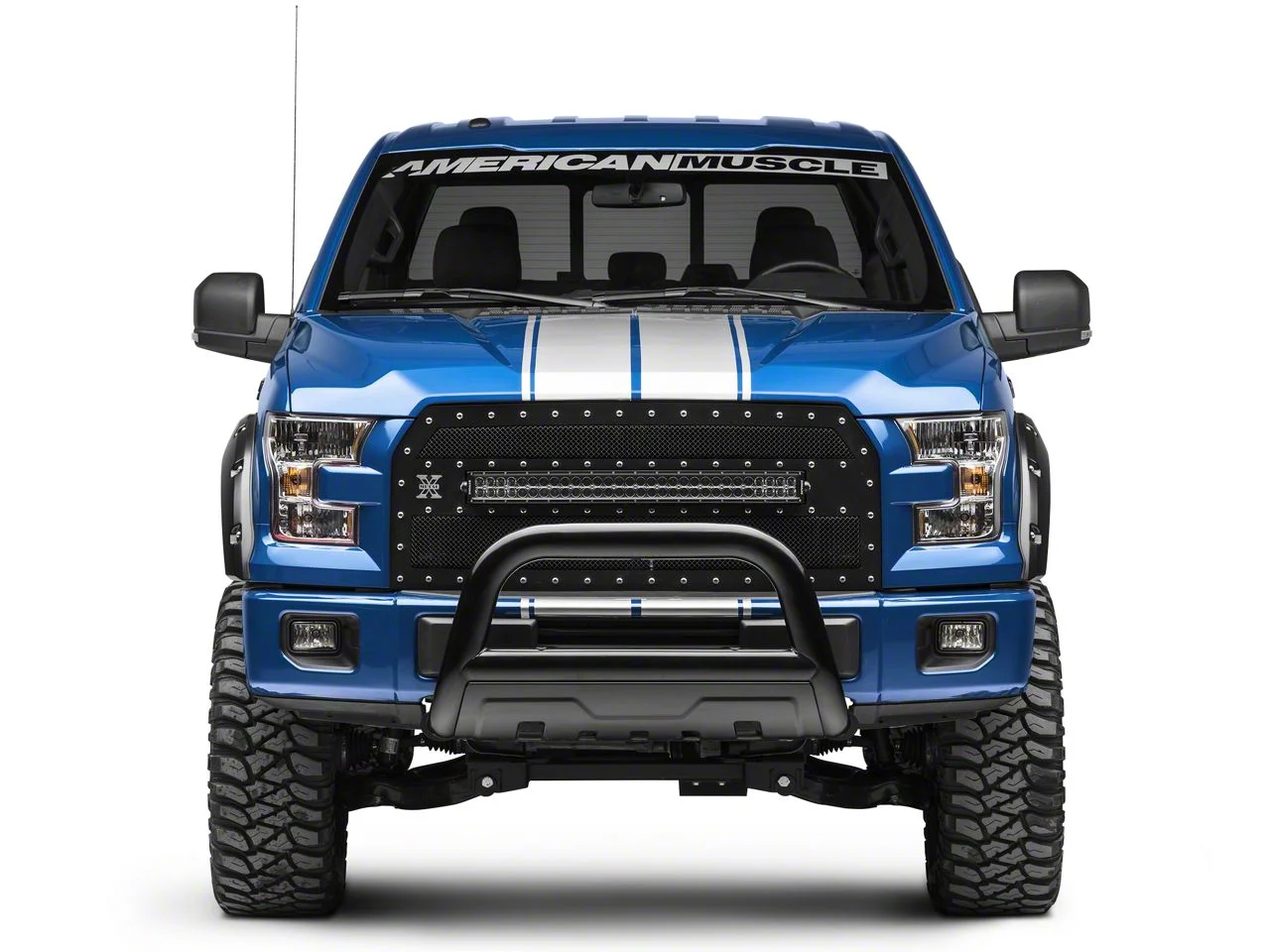 SEC10 Full Length Stripes; Silver; 10-1/4-Inch (15-20 F-150)