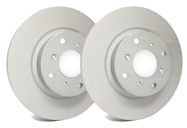 SP Performance Premium 6-Lug Rotors with Gray ZRC Coating; Rear Pair (18-20 F-150 w/ Electric Parking Brake)