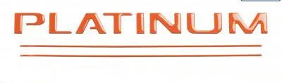 Tailgate Insert Letters; Gloss Orange (17-19 F-250 Super Duty Platinum)