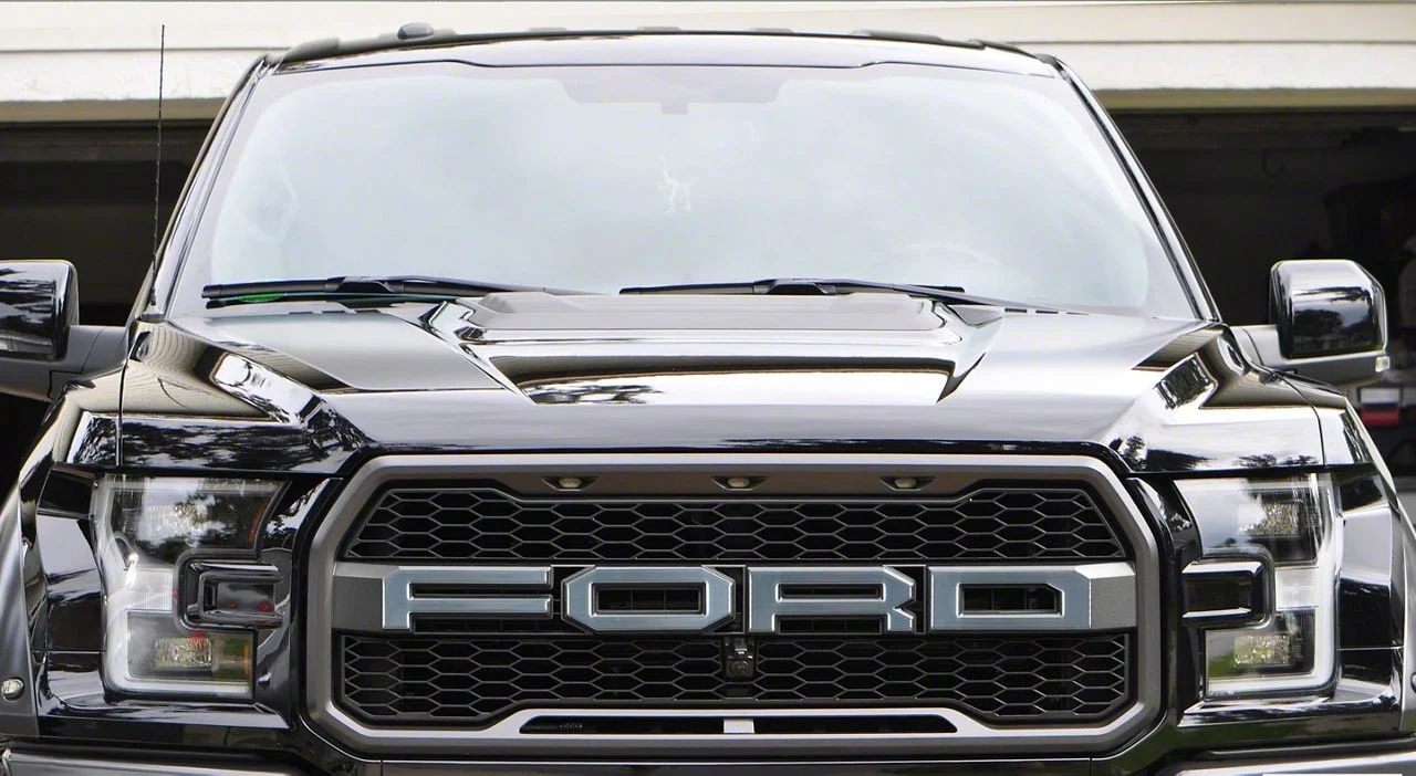 Front Grille Letter Overlays; Brushed Silver (17-20 F-150 Raptor)