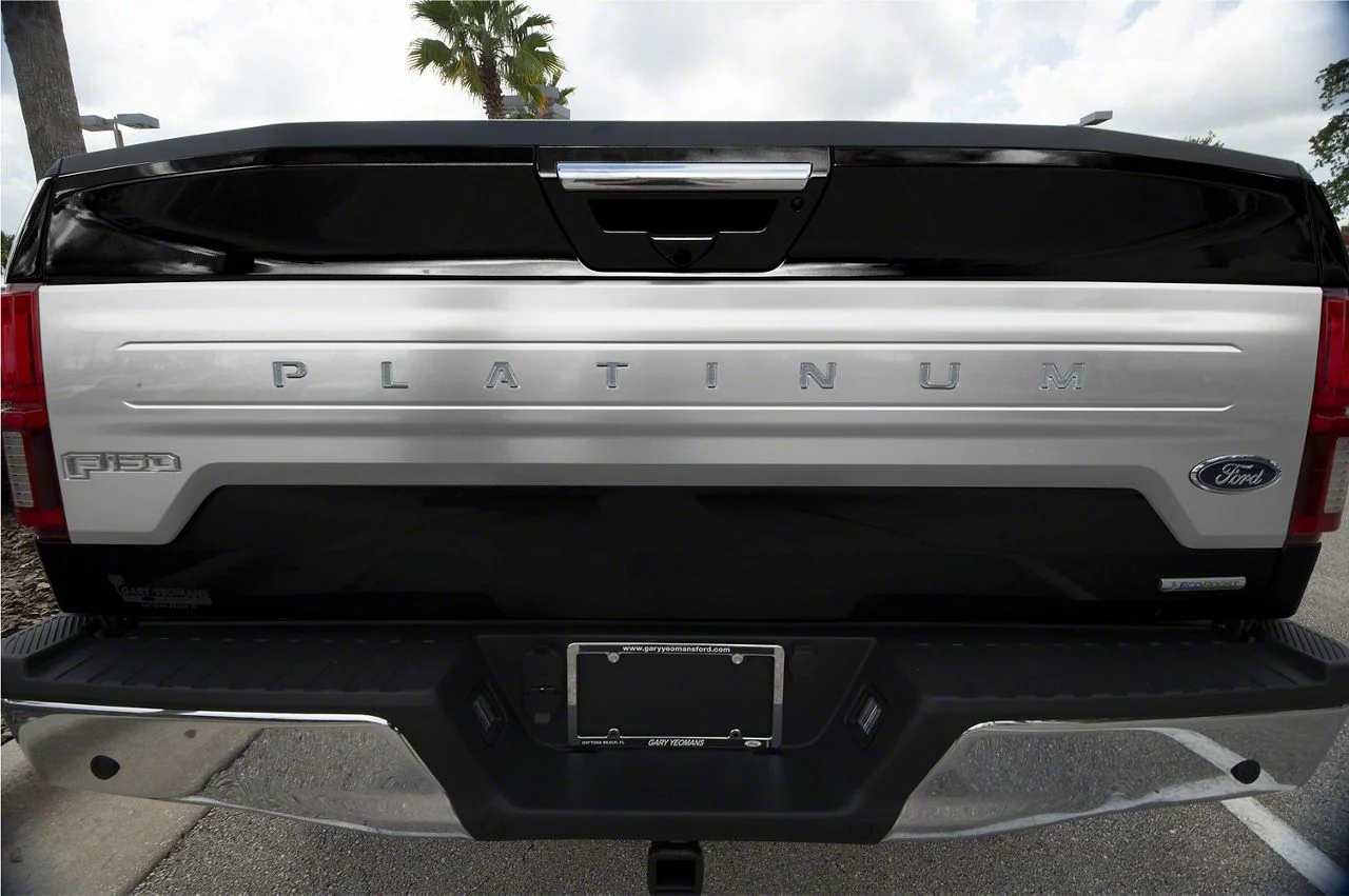 Tailgate Insert Letters; Brushed Silver (18-20 F-150 Platinum)