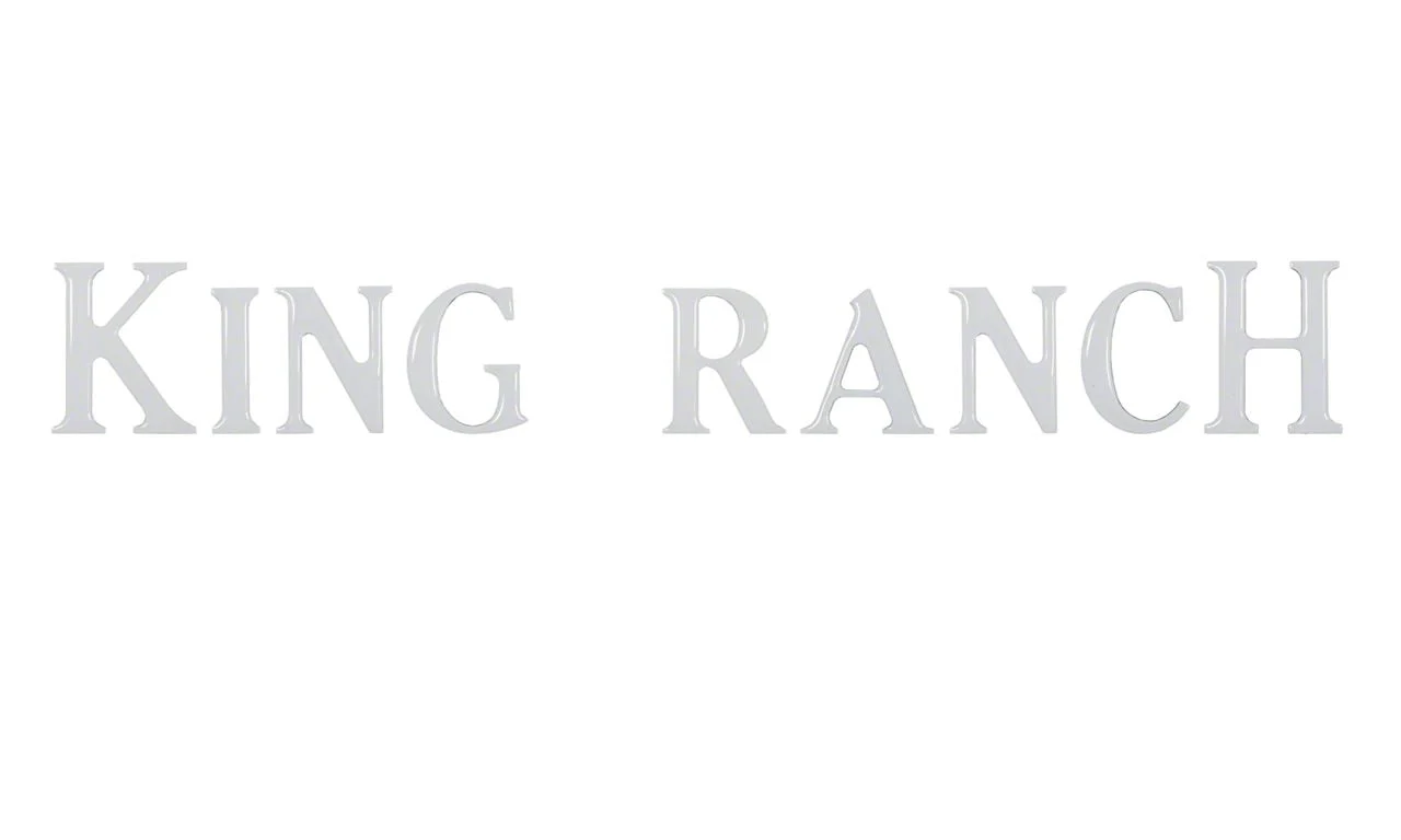 Tailgate Insert Letters; Gloss White (18-20 F-150 King Ranch)